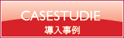 CASESTUDIE 導入事例